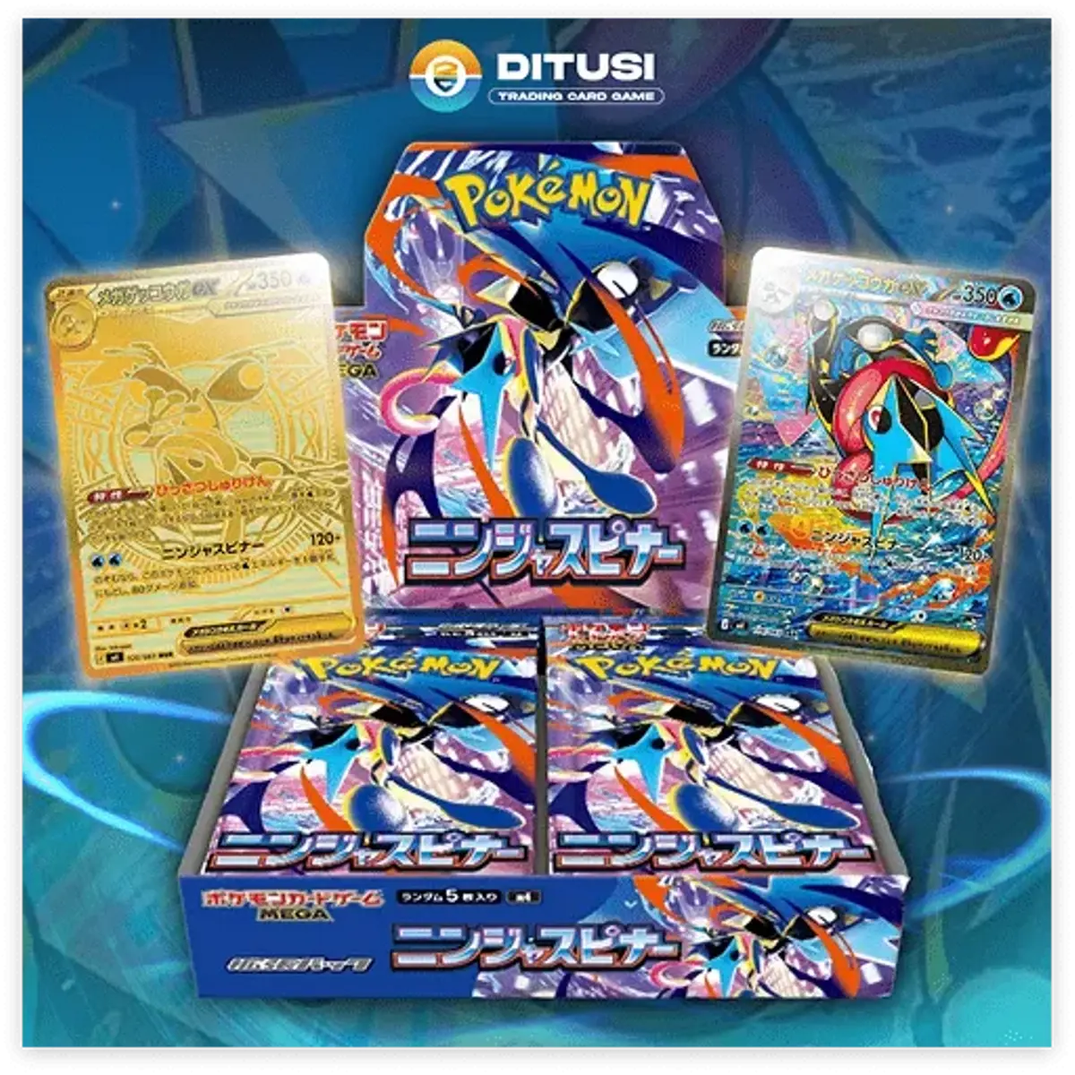 Ninja Spinner Box